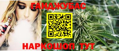 сатива Камышлов