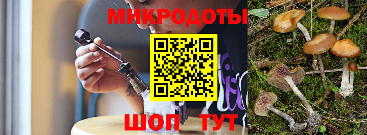 где продают   Псилоцибиновые грибы GOLDEN TEACHER  Краснознаменск  Вход с VPN  Псилоцибиновые грибы Magic Shrooms 
